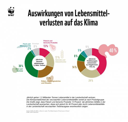 Grafik: Auswirkungen von Lebensmittelverlusten auf das Klima